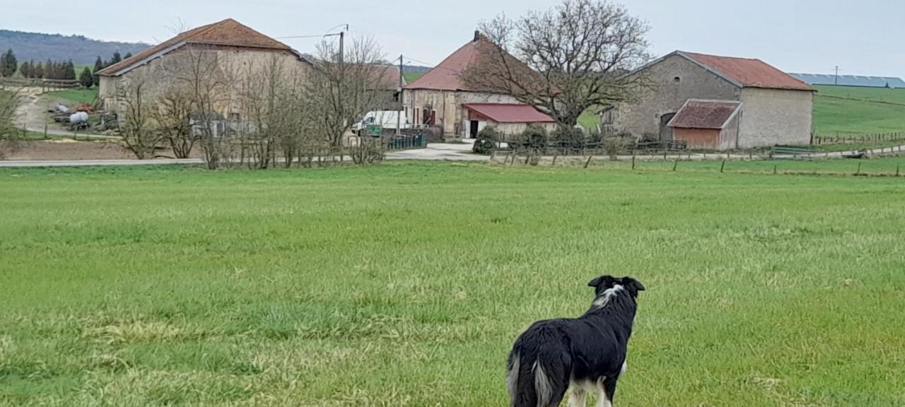 Ferme Des Champs 호텔 Vrécourt 외부 사진