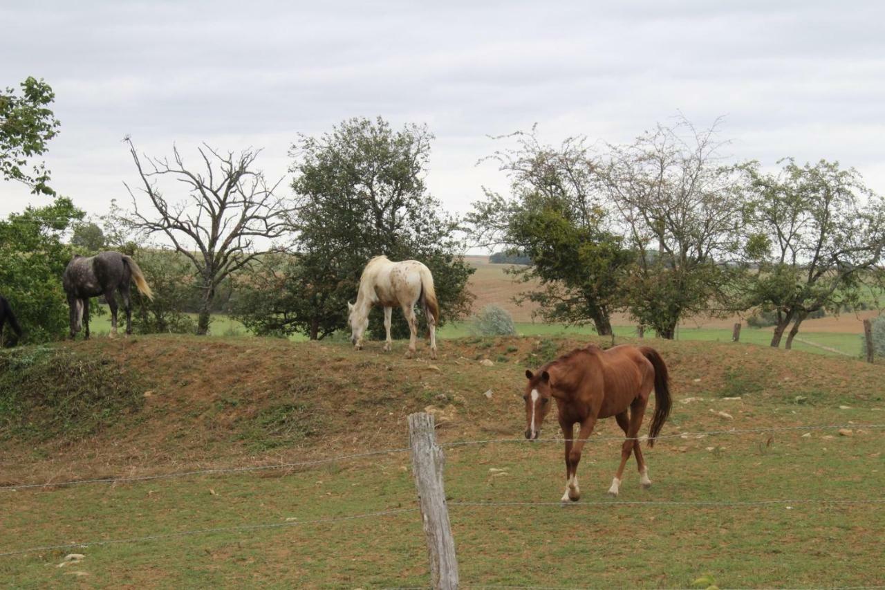 Ferme Des Champs 호텔 Vrécourt 외부 사진