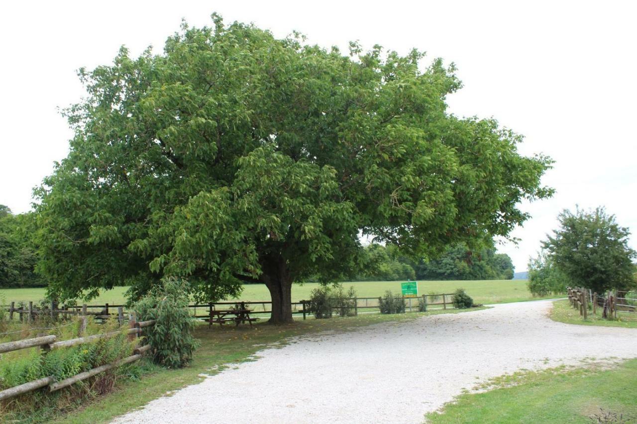 Ferme Des Champs 호텔 Vrécourt 외부 사진